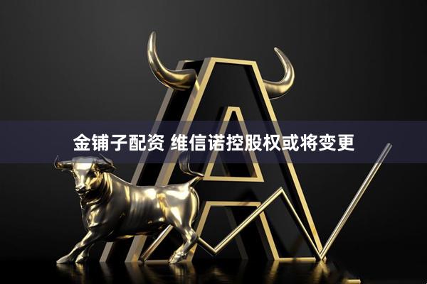 金铺子配资 维信诺控股权或将变更
