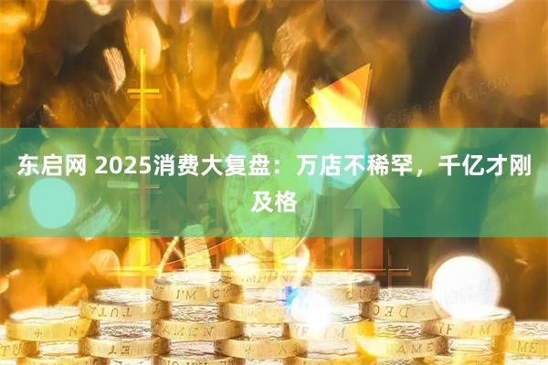 东启网 2025消费大复盘：万店不稀罕，千亿才刚及格